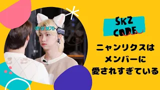 【Stray Kids】ニャンリクスはメンバーに愛されすぎている