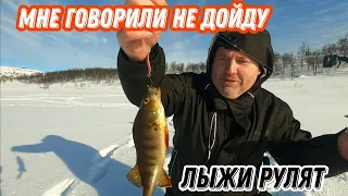 На ЛЫЖАХ по ГОРНЫМ хребтам за ЩУКОЙ и ОКУНЕМ.