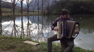 La Valse d'Amelie (Yann Tiersen) - Accordion - Adolfo Scheidt