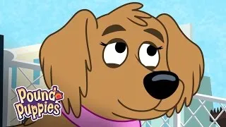 Pound Puppies - Miss Petunia is Due!