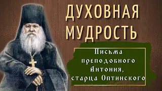 Мудрость жизни - Письма преподобного Антония, старца Оптинского. Часть 2