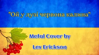 "Ой у лузі червона калина"(metal cover)