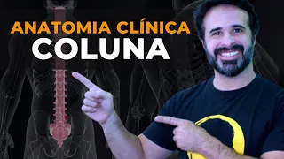 ANATOMIA CLÍNICA DA COLUNA APRENDA DE UMA VEZ POR TODAS