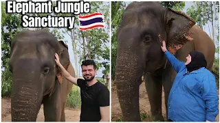 FEEDING ELEPHANTS AT THE ELEPHANT JUNGLE SANCTUARY IN THAILAND