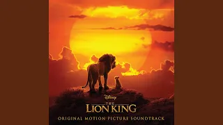 Circle of Life/Nants' Ingonyama