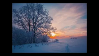 Сергей Маховиков. Дорога домой. Музыкальный ролик.