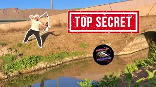 The Secret Bow Fishing Spot Nobody Talks About!