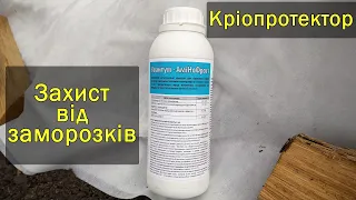 Захист винограду від заморозків? Кріопротектор «Квантум-АміНоФрост» . Виноград 2020