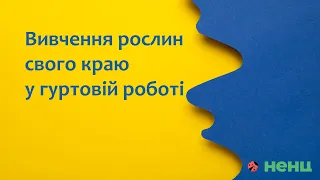 Вивчення рослин свого краю у гуртовій роботі