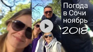 Погода в Сочи ✔ноябрь +18 ✔осень ✔2018 | Сочи ТВ ПроСОЧИлись