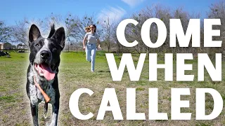 How to Train your Dog to COME When Called! | Recall Training