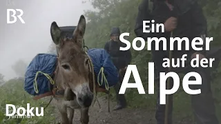 Ein Sommer auf der Alpe Osterberg | Unter unserem Himmel | Doku | BR | Berge | Allgäu | Alm