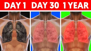 The Changes To Your Body When You Quit Smoking For 1 Day, 1 Month, and 1 Year