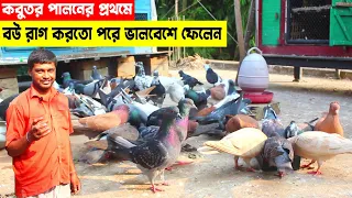 চেষ্টা করতে হবে তাই কবুতর পালনে রাগ না করে ভালোবাসা দিলে সফল খামারি হওয়া যায় বল্লেন এই ব্যবসায়ি।