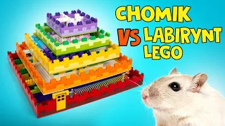 Jak Zbudować 5-Poziomowy Labirynt Z Lego Dla Chomika! 🐹🧱🎁