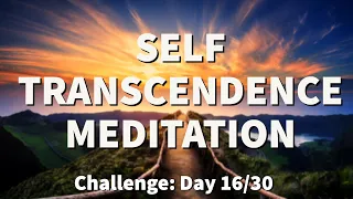 Meditation for TRANSCENDENCE - Transcendental Experience | 2022 Challenge - Day 16  | Raphael Reiter