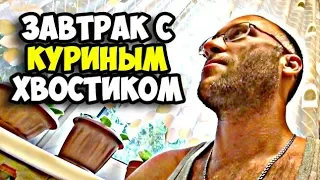 Завтрак с куриным хвостиком || Новые ресницы Ольги || Поездка на нудистский пляж сорвалась в 2018