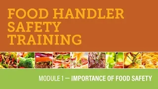 Module 1 — Importance of Food Safety