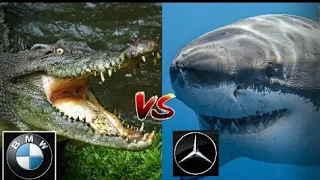 ❣Mercedes-Benz❣ vs Bmw🐌 (ПРИКОЛЫ.Дрифт.Гонки)///AMG TV