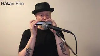 Albatross - Harmonica - Peter Green/Fleetwood Mac cover