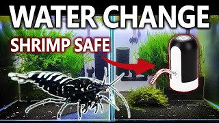 Shrimp Tank Water Change - My Tips and Tricks