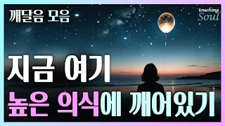 지금 이 순간에 [깨어나 존재하라]! 진정으로 위대한 나를 만난다 |깨달음 영상모음| 광고없음