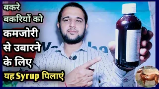 बकरे बकरियों को कमजोरी से उबारने के लिए यह Syrup पिलाएं||Weakness/Recovery from Chronic illness