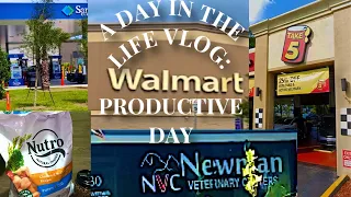 A Day In My Life: Dog Mom| Car Maintenance| Productive Day Vlog|TheAunnaJ