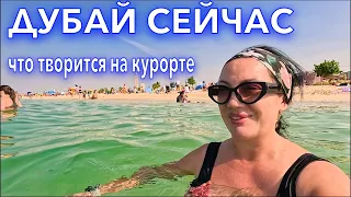 Дубай СЕЙЧАС. Что ПРОИСХОДИТ на КУРОРТЕ❗️ПЛЯЖ Kite Beach Jumeirah Beach ЦЕНЫ ЕДА. Отдых в Дубае. ОАЭ