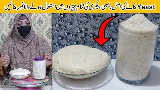 How To Make Yeast At Home | Instant Yeast Recipe | Homemade Yeast