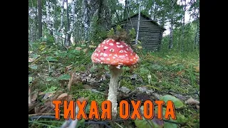 Тихая охота. Байкал