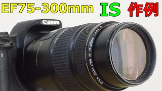 【ジャンクレンズ作例】5500円 CANON EF75-300mm F4-5.6 IS USM　動作確認・作例