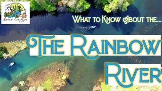What to Know About the Rainbow River