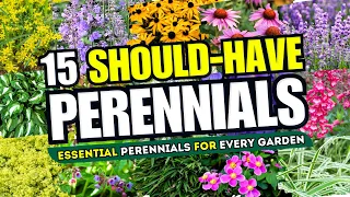 Top 15 Perennials Every Garden SHOULD HAVE! 💫 Essential Plants Your Garden Can't Do Without! 🌻