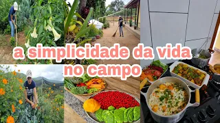 muita chuva e o serviço da roça aumenta/colheita/cuidados na horta/almoço com alimentos orgânicos