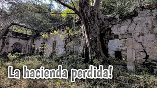 NO APARECE ni en Google Maps! Caminamos 9 km entre la jungla para llegar a ella 😮‍💨😰😭 #exhacienda