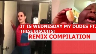 These Biscuits Ft. It Is Wednesday My Dudes Collab! - REMIX COMPILATION