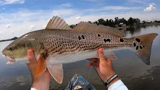 3 Tactics To Find Redfish At High Tide