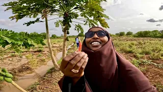 Welcome to The Green farms of Somalia (Afgooye) 🇸🇴