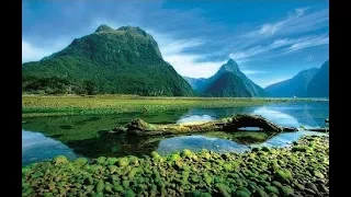 NEW ZEALAND WONDERS No Music 100% Pure Nature  Ambient Documentary Film  1HR