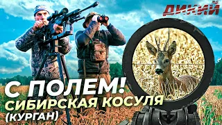 С полем!🦌 Охота на косулю в Курганской области.