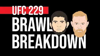 UFC 229 Brawl Breakdown