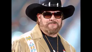 Canyonero - Hank Williams Jr