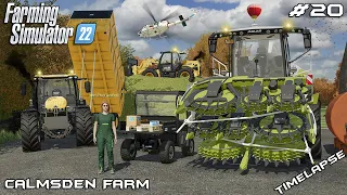 Harvesting CORN silage with MrsTheCamPeR | Calmsden Farm | Farming Simulator 22 | Episode 20