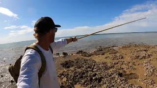 4 !! GIANT CRAB Catch and Cook   BOW n ARROW vs FISH