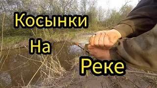 РЫБАЛКА НА КОСЫНКИ. С ЗИМЫ ИХ НЕ ЛОВИЛ.