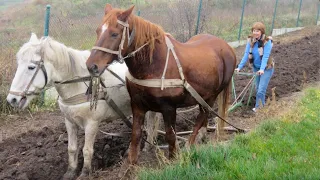 Неймовірний світанок і несподіваний гість