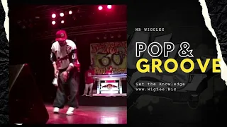 Mr Wiggles POP SWAGGER FLAVA GROOVE MOVES