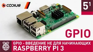 Raspberry Pi 3: GPIO - введение не для начинающих – Часть 5.1