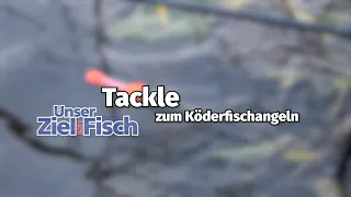 Tackle für das Angeln mit Köderfisch - Unser Ziel ist Fisch